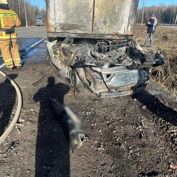 Источник: ГУ МВД России по г. Санкт-Петербургу и Ленинградской области