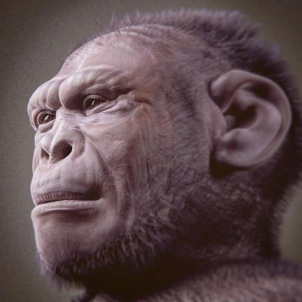 Homo habilis — судебно-медицинская реконструкция лица | Источник: Cicero Moraes, CC BY-SA 4.0, via Wikimedia Commons