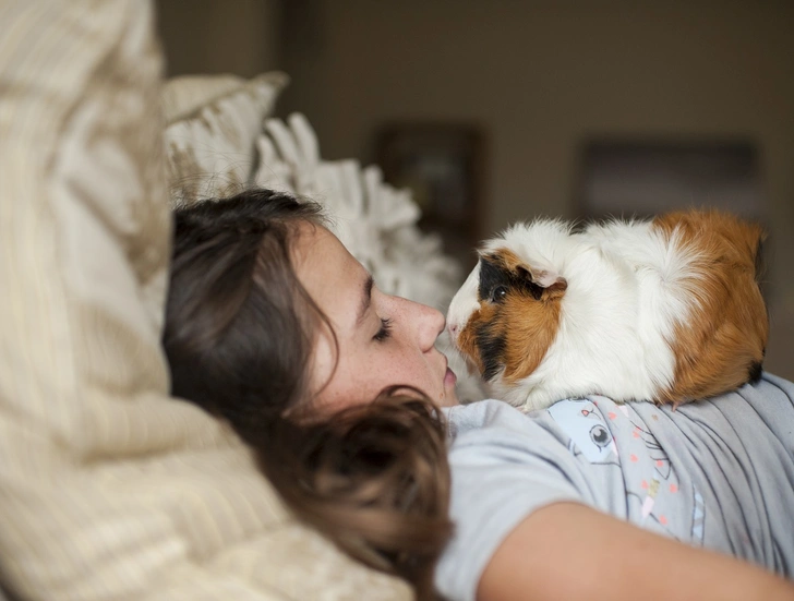 Источник: Getty Images/Cavan Images RF/Cavan