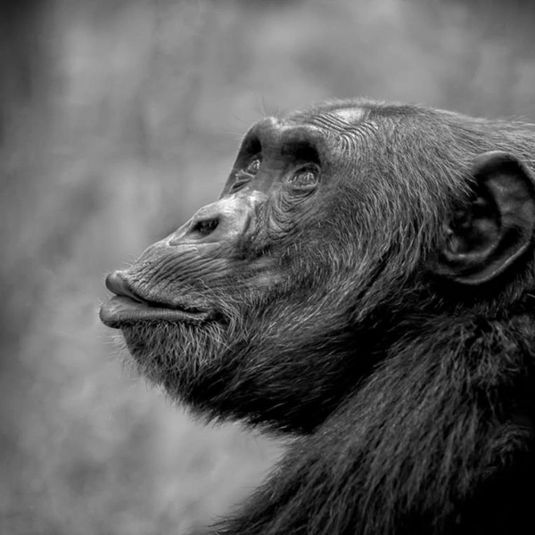 Источник: Randall (Randy) Hanna / Exposure One Awards 2025