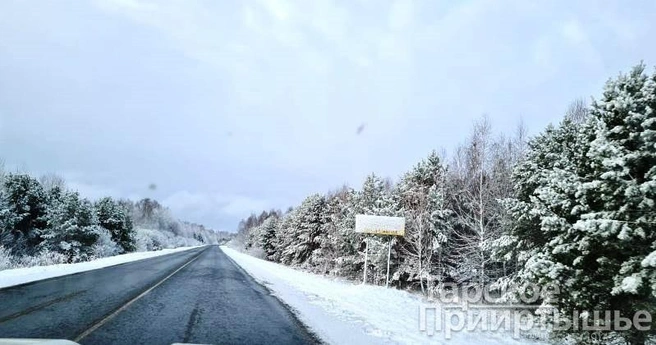 Покрылись снегом как дорожные знаки, так и деревья  | Источник: «Тарское Прииртышье» / t.me