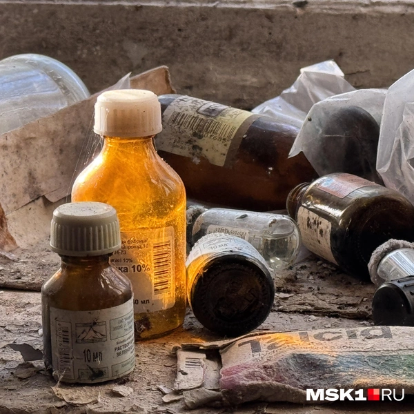 Источник: Алина Мельникова / MSK1.RU