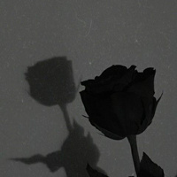 Аватарка someday