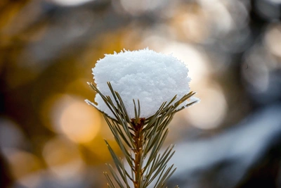Прогноз погоды в Забайкалье на 8 января: местами снег