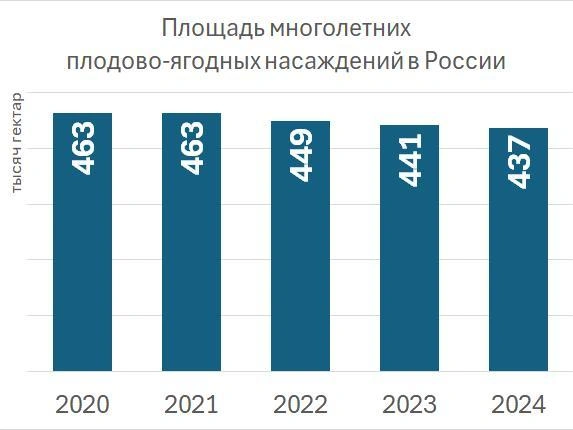 Изменение площади плодово-ягодных насаждений в России по данным Росстата | Источник: «Фонтанка.ру»