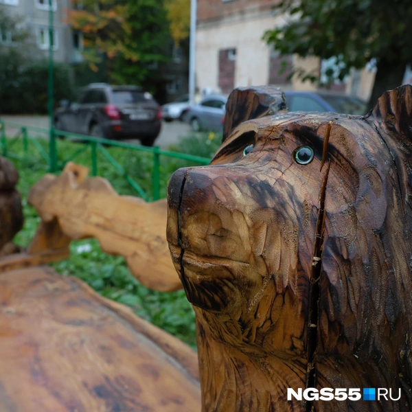 Не грусти, Миша | Источник: Евгений Софийчук / NGS55.RU