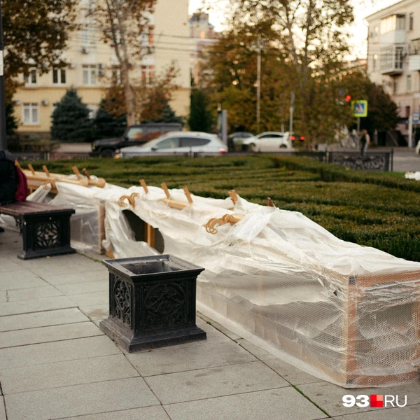 Источник: Дарья Паращенко / 93.RU