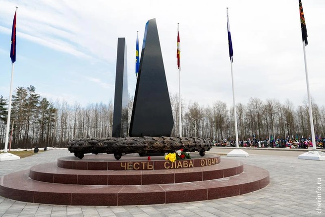 Источник: st.cherinfo.ru