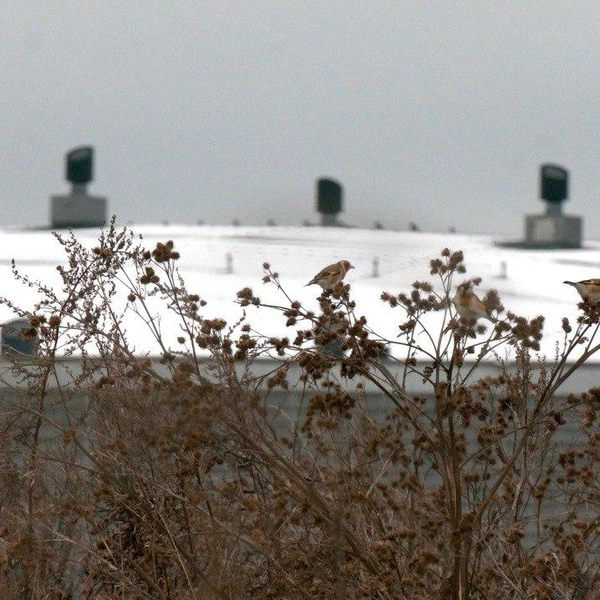 Источник: Каждой твари по паре / Телеграм