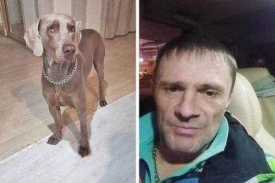 Tomsk Residents Question Dog Owner's Motives in Gilay Search