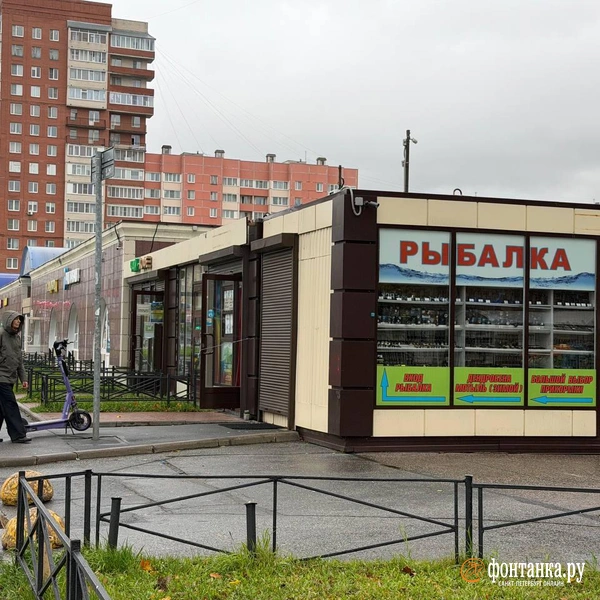 Источник: Евгения Горбунова / FONTANKA.RU