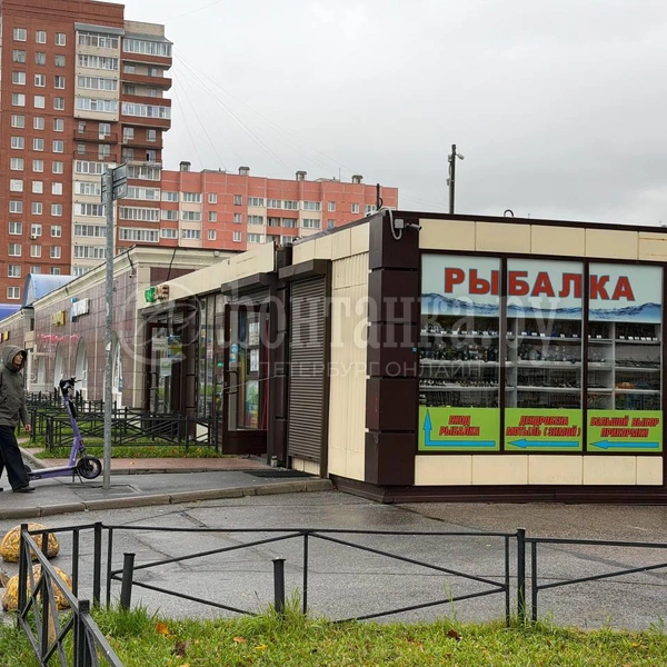 Источник: Евгения Горбунова / FONTANKA.RU
