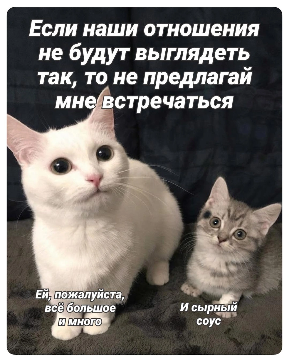 Идеальное взаимопонимание | Источник: Городские медиа