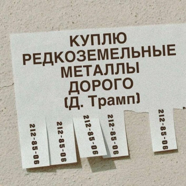 Источник: Соцсети