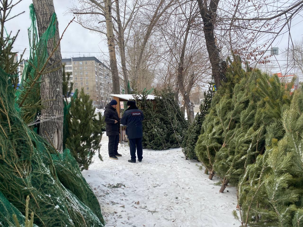 В Челябинске выявили больше сотни незаконных елочных базаров