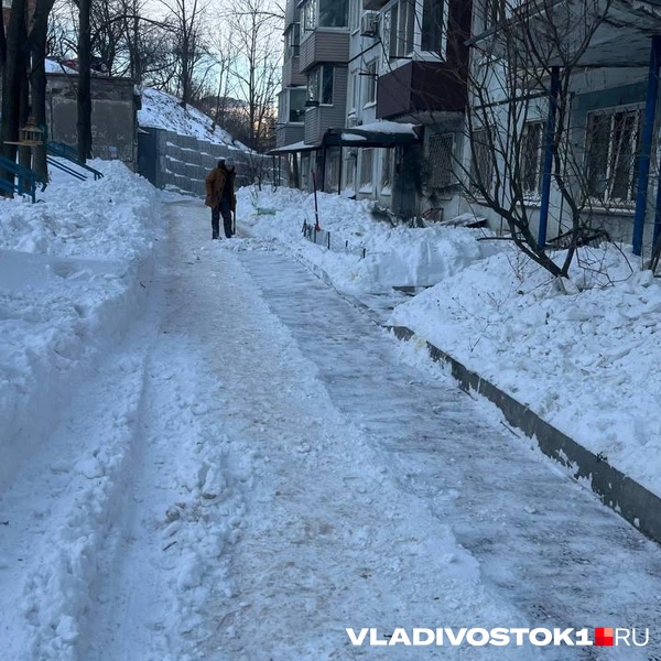 Источник: Елена Буйвол / VLADIVOSTOK1.RU
