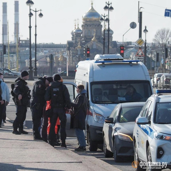 Источник: Михаил Огнев / «Фонтанка.ру»