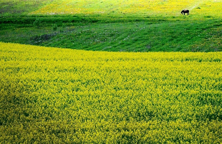 Природа во сне | Источник: Getty