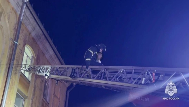 С помощью автолестницы из дома вынесли ребенка | Источник: МЧС Ярославской области / Max.ru