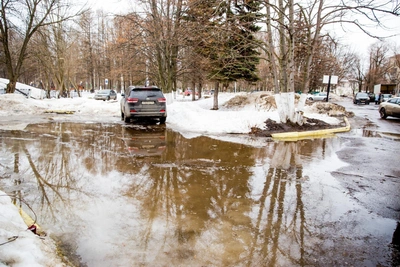 Погода в Алтайском крае: финальный аккорд зимы