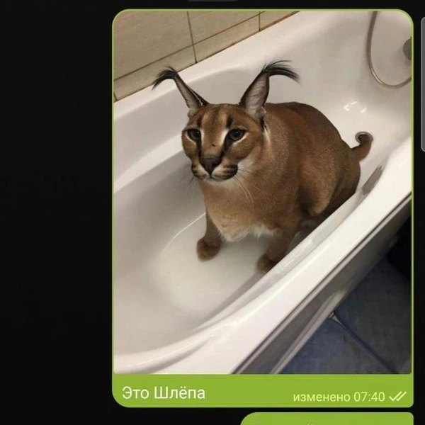 Источник: Соцсети