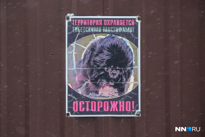 Источник: Наталья Бурухина / NN.RU