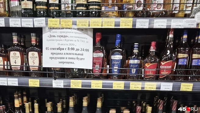 Источник: Дарья Никитченко / 45.RU