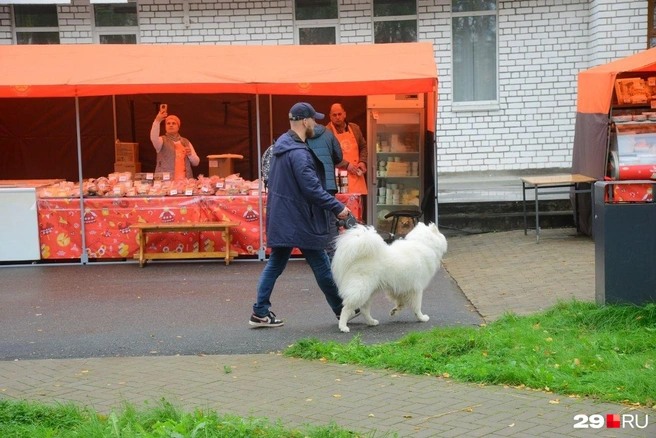 Источник: Иван Митюшёв
