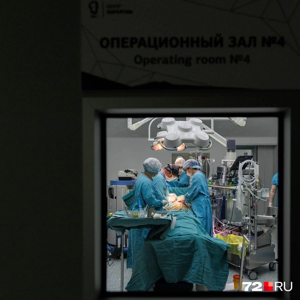 Источник: Ирина Шарова / 72.RU
