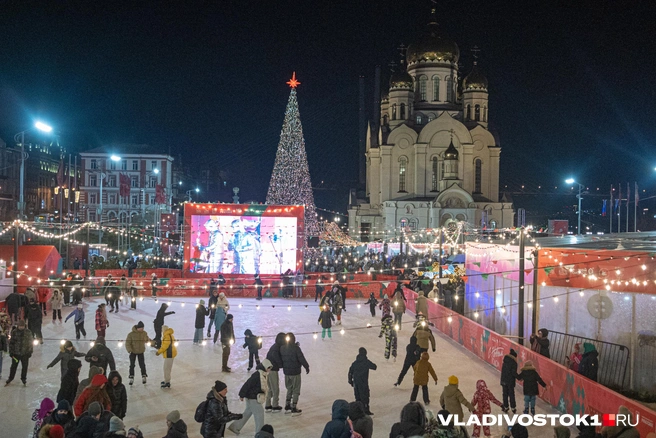 Источник: Елена Буйвол / VLADIVOSTOK1.RU