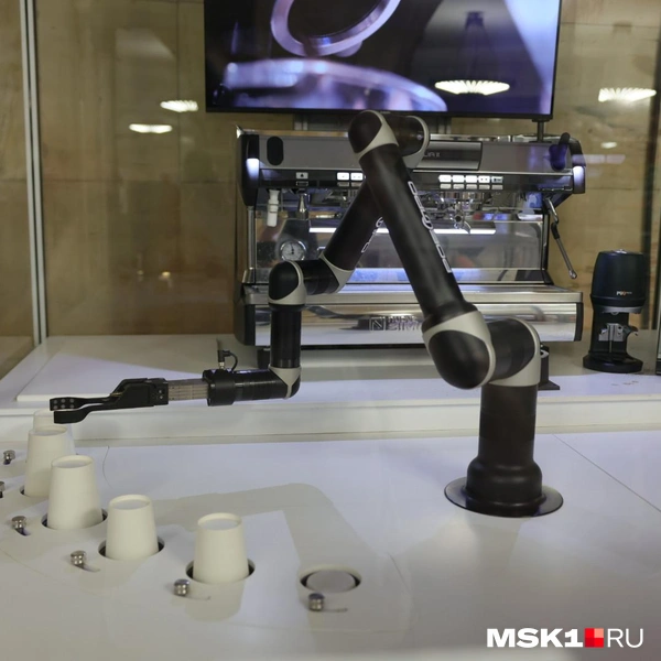 Источник: Артем Устюжанин / MSK1.RU