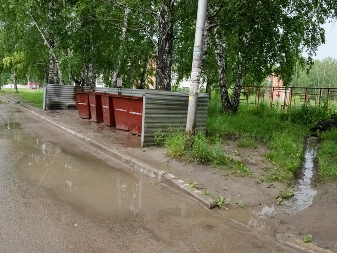 При погрузке отходов жидкость из контейнеров попадает на дорогу | Источник: Анна Золотова / NGS.RU