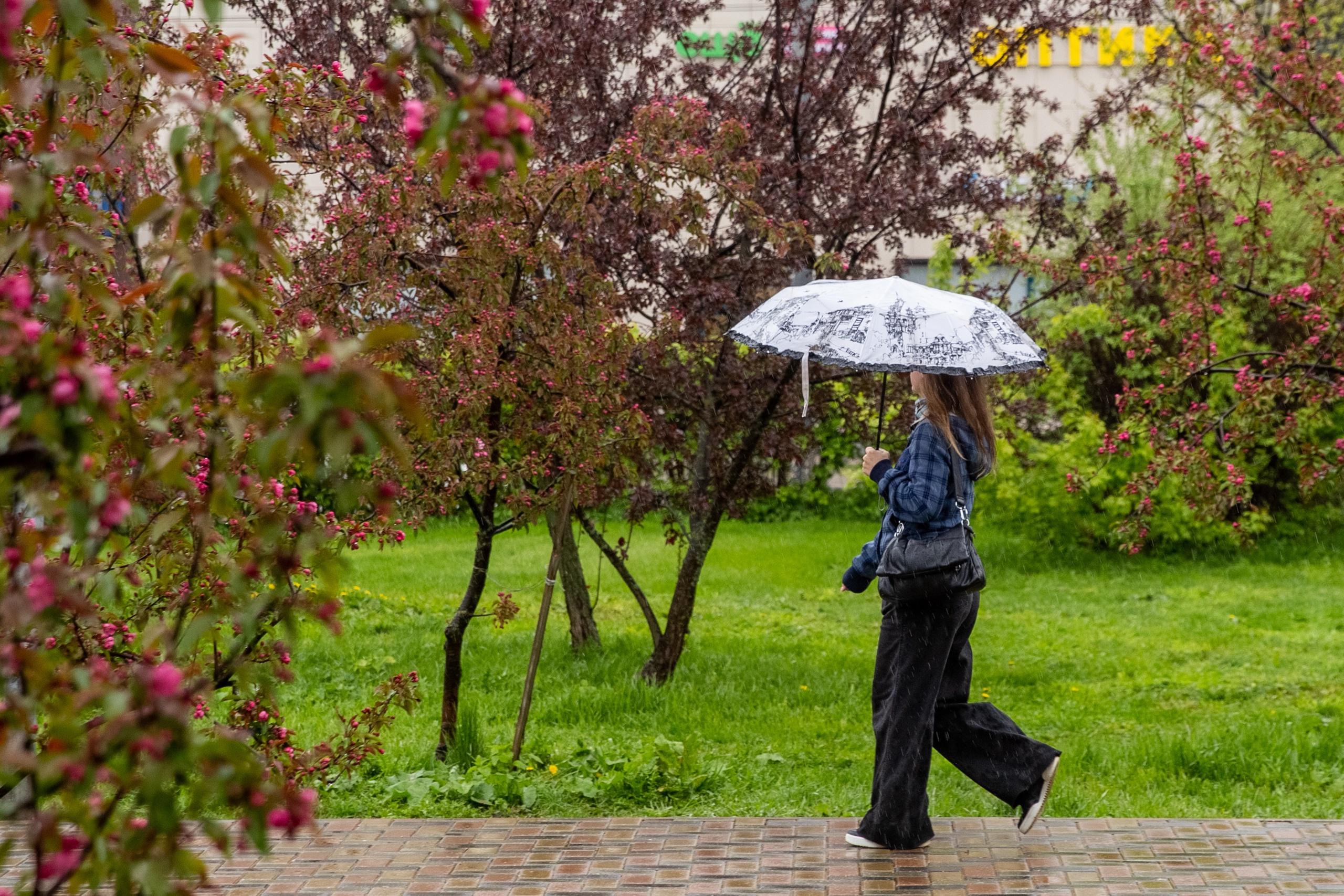 Холода затянулись: когда в Ярославскую область вернётся солнце и тепло
