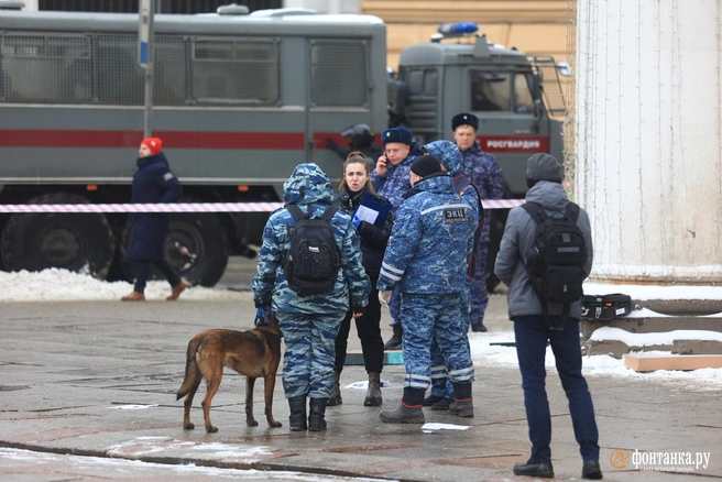 Детский омбудсмен рассказала про рассылку о готовящихся терактах в школах Иркутской области | Источник: Сергей Михайличенко / FONTANKA.RU