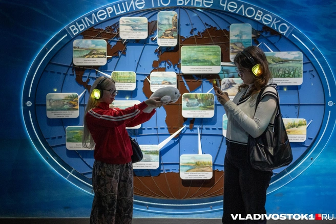 Источник: Елена Буйвол / VLADIVOSTOK1.RU