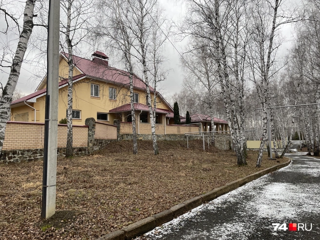 За территорией&nbsp;— небольшой лесочек | Источник: Михаил Шилкин 