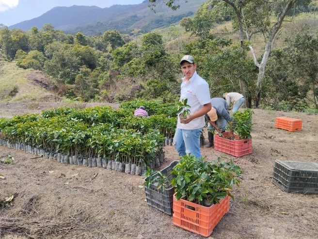 Тут рассада | Источник: Личный архив П. Стаброва