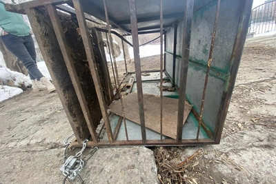 Неизвестные сломали ловушку для собак у школы в Новосибирске