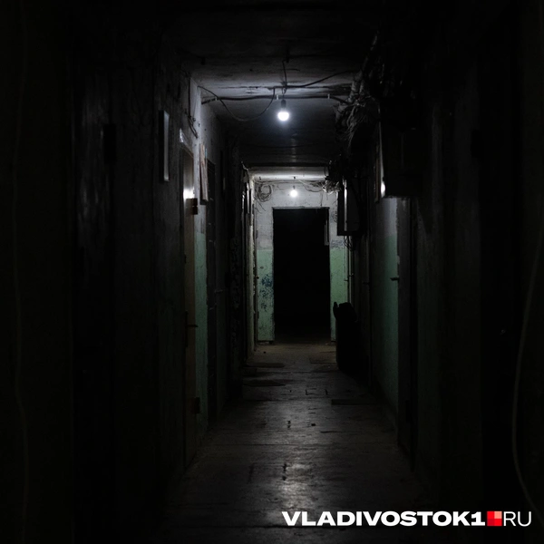 Источник: Елена Буйвол / VLADIVOSTOK1.RU
