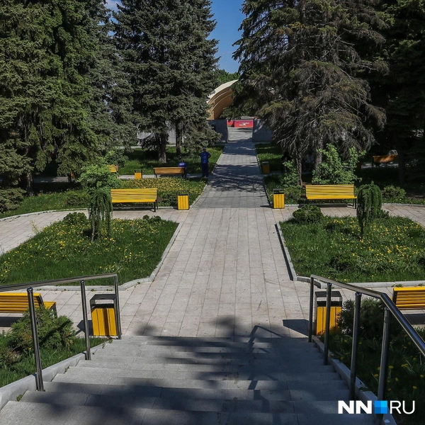 Скамейки и урны уже покрасили | Источник: Наталья Бурухина / NN.RU