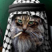 Аватарка DURACHKA1976