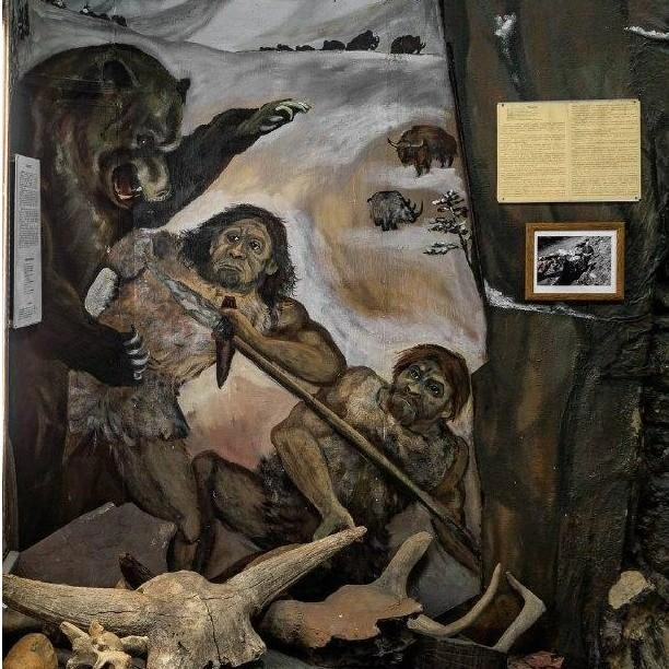 Музей «Археология, этнография и экология Сибири» КемГУ / web.telegram.org | Источник: телеграм-канал Этнографического музея