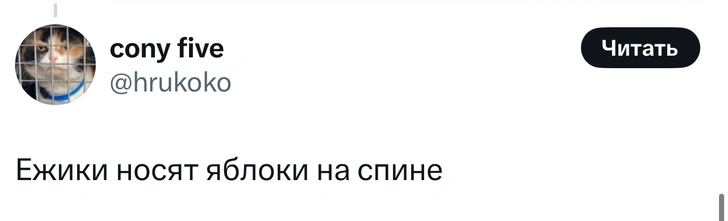 В «Твиттере» делятся заблуждениями, в которые все верят