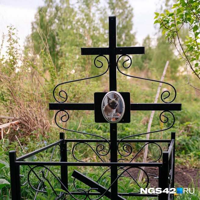 Источник: Максим Серков / NGS42.RU