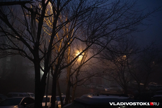 Источник: Елена Буйвол / VLADIVOSTOK1.RU