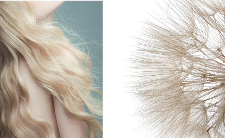 Секущиеся кончики: как восстановить поврежденные волосы