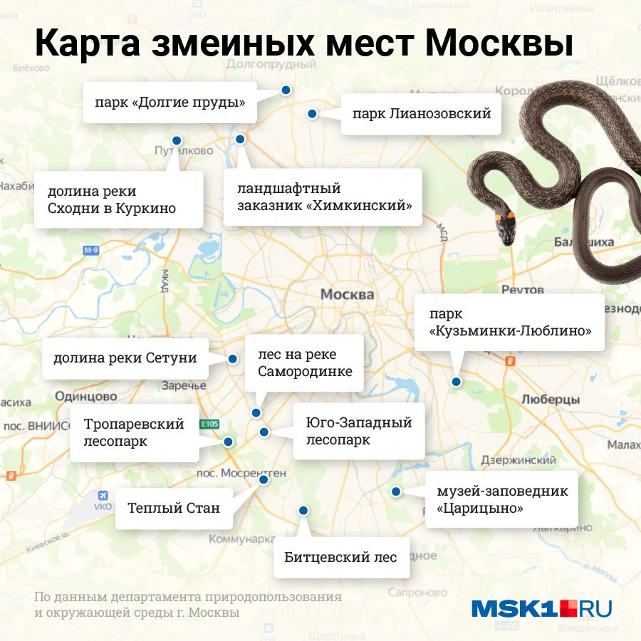 Карта опасных мест Москвы и Подмосковья: где много змей и клещей, сколько  случаев заболевания энцефалитом и боррелиозом, чем опасны клещи, гадюки,  ужи и медянки, куда сдать клеща на анализы, как вытащить клеща -