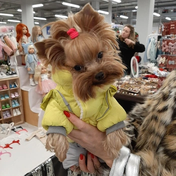 А эта кокетка хвастается новой лимонной курткой (и своей прической) | Источник: личный архив Елены Матвиенко