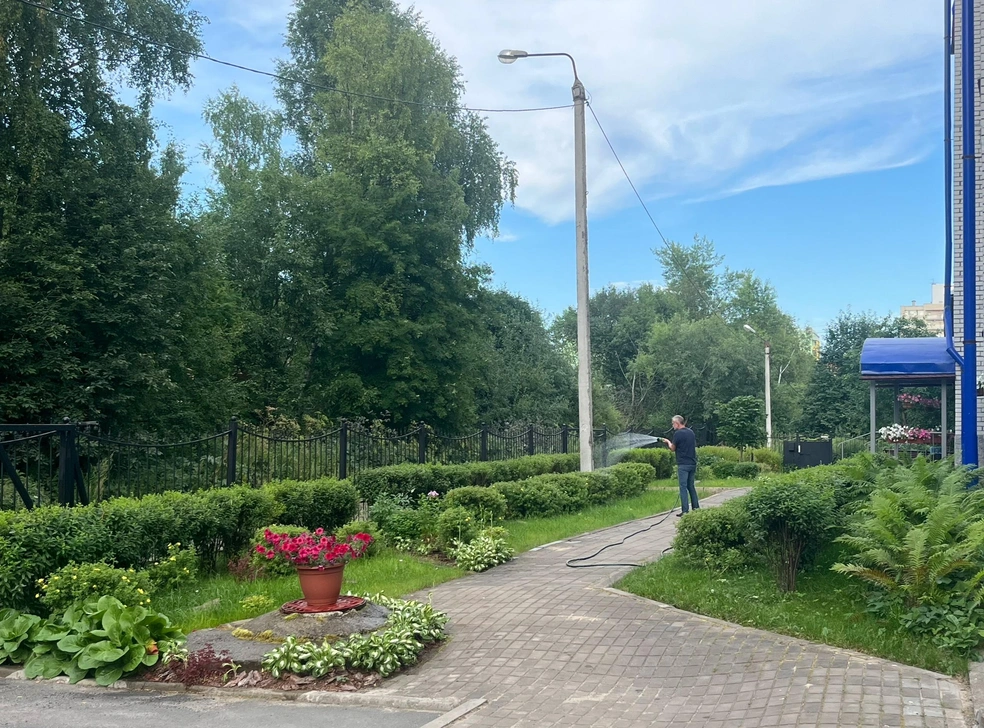 Справа и слева&nbsp;— лапчатка, у дома и забора&nbsp;— иволистная спирея, полукругом вокруг петунии&nbsp;— хоста | Источник: плодопитомник «Садовод»