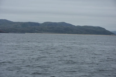 Новые рейсы Севморпути с господдержкой 240 млн рублей